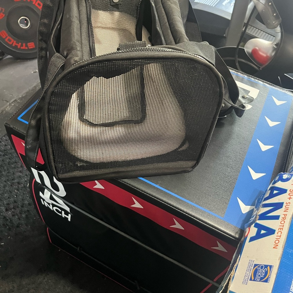 Amazon Black Pet Carrier